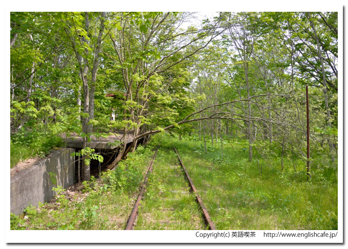 上茶路駅跡（旧白糠線）、草むらの中から見る旧上茶路駅ホーム（北海道白糠郡白糠町）