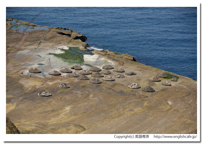かもめ島、かもめ島の千畳敷方向（北海道檜山郡江差町）