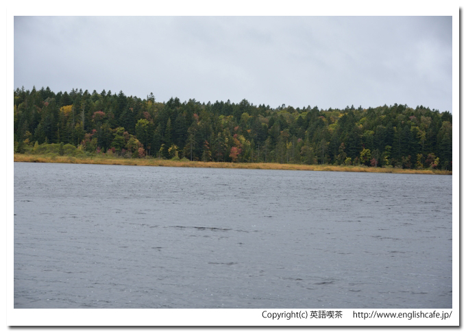 カムイト沼、カムイト沼の対岸の景色をクローズアップ（北海道猿払村）