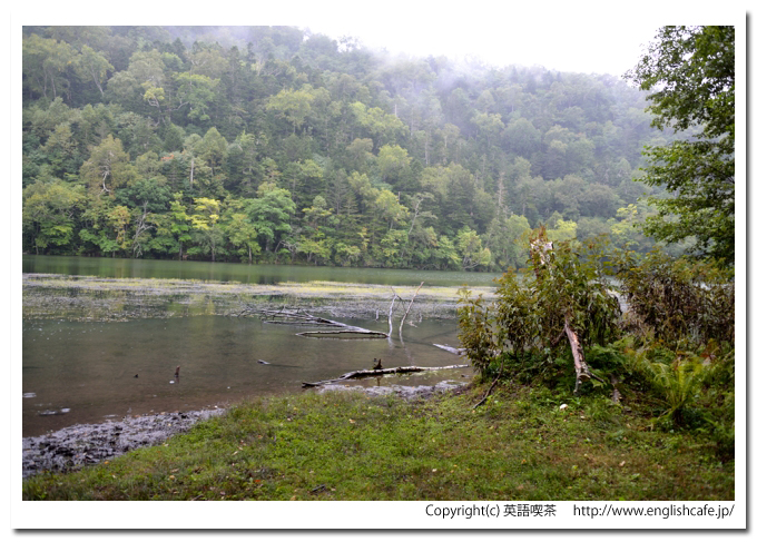 キンムトー、キンムトーにたどり着いたところから（北海道弟子屈町）