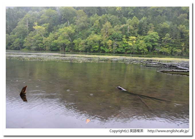 キンムトー、キンムトーの湖面（北海道弟子屈町）
