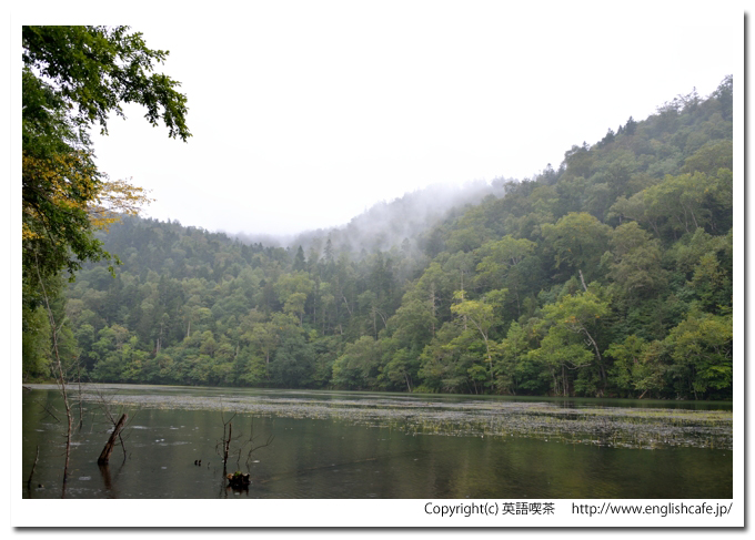 キンムトー、キンムトーの湖面と原始林の風景（北海道弟子屈町）