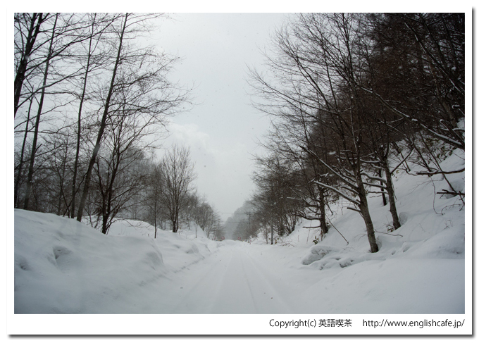 駒ヶ岳ダムへ（北海道森町の鳥崎渓谷八景）