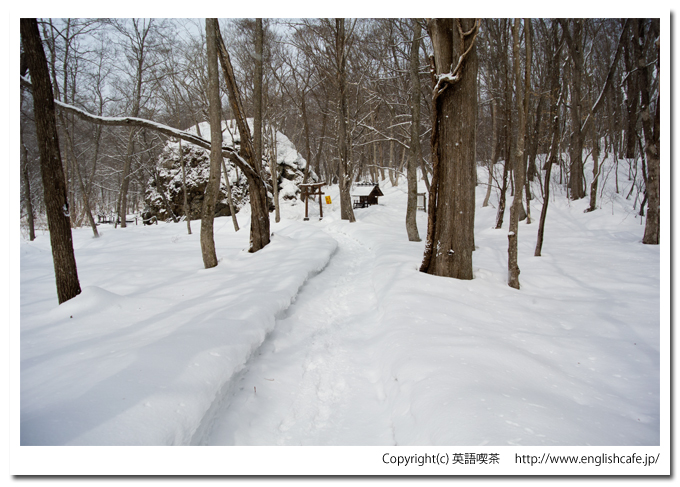 駒ヶ岳神社の２つめの鳥居へ（北海道七飯町大沼国定公園）