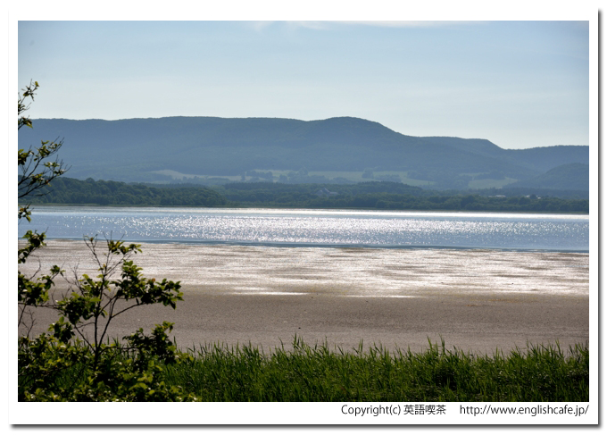 コムケ湖、湖面の方へ（北海道紋別市）