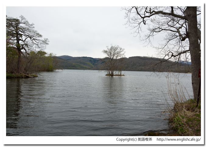 小沼湖、小沼湖の散策路から（北海道七飯町）
