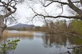 小沼湖（北海道七飯町）