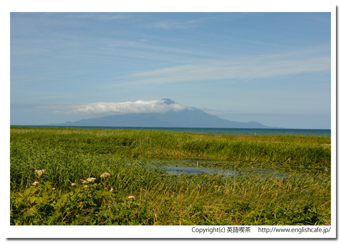 こうほね沼、こうほね沼と利尻山の風景（北海道稚内市）