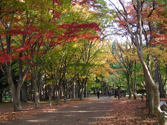 旧岩船氏庭園（香雪園）、紅葉の散策（北海道函館市）