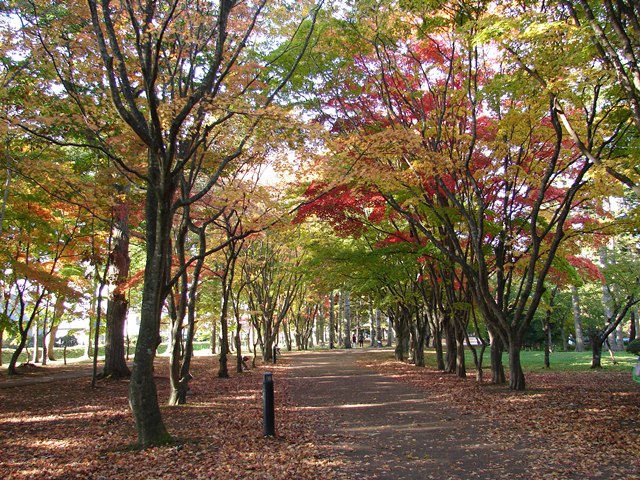旧岩船氏庭園（香雪園）、紅葉の道（北海道函館市）