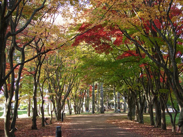旧岩船氏庭園（香雪園）、紅葉の道（北海道函館市）