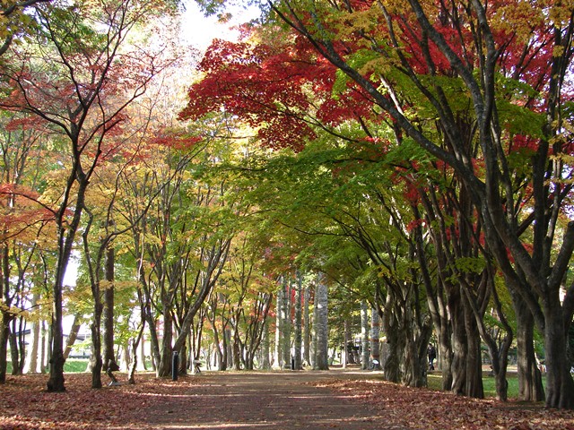 旧岩船氏庭園（香雪園）、紅葉の道（北海道函館市）