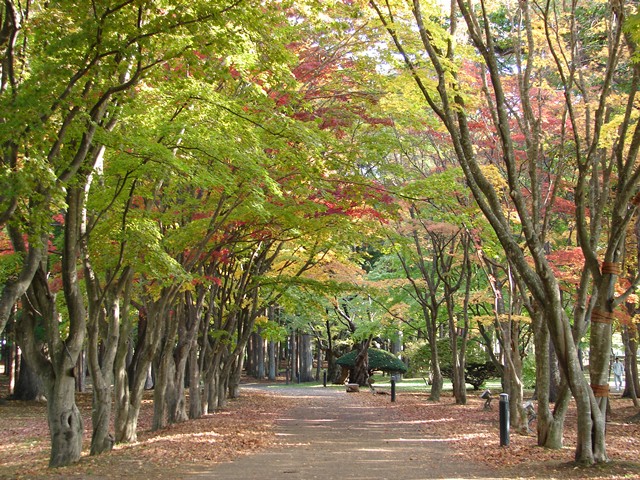 旧岩船氏庭園（香雪園）、紅葉の道（北海道函館市）