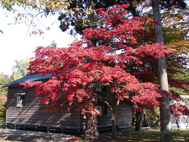 旧岩船氏庭園（香雪園）の中へ（北海道函館市）