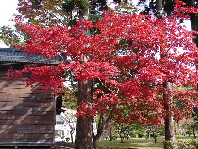 旧岩船氏庭園（香雪園）の中へ（北海道函館市）