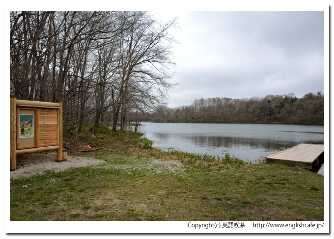 口無沼、口無沼の岸から（北海道苫小牧市）
