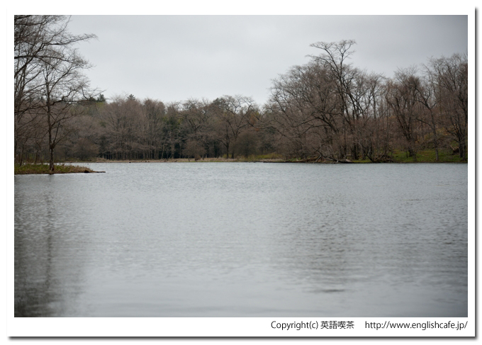 口無沼、沼の奥の方へ（北海道苫小牧市）