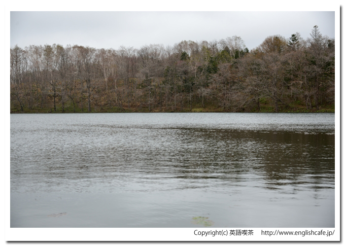 口無沼、樹海の中の水面（北海道苫小牧市）