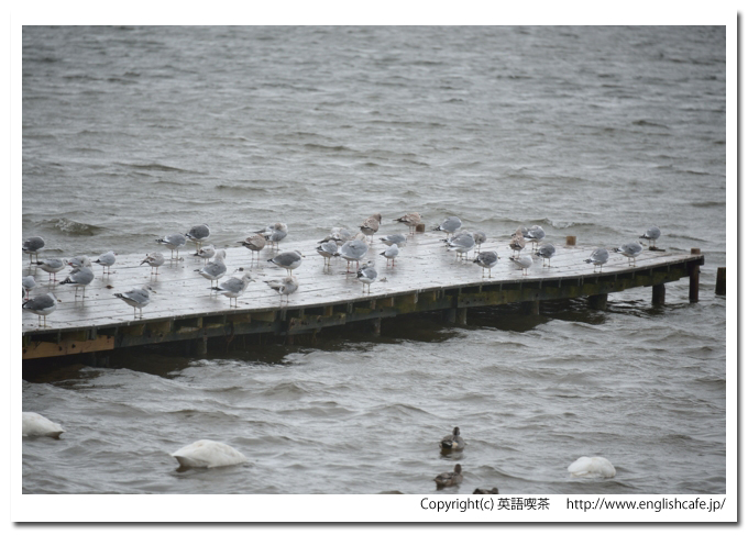 クッチャロ湖、クッチャロ湖の桟橋をクローズアップ（北海道浜頓別町）