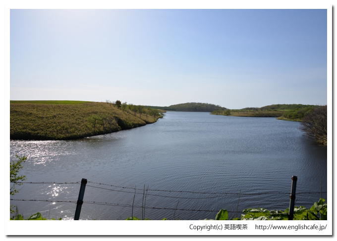 牧の内ダム、ダム湖から堤体側を見る（北海道根室市）