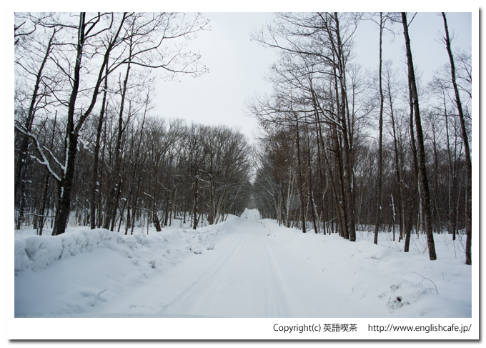 雪景色の円沼（北海道茅部郡森町大沼国定公園）