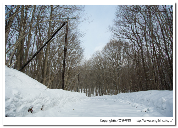 雪景色の円沼（北海道茅部郡森町大沼国定公園）