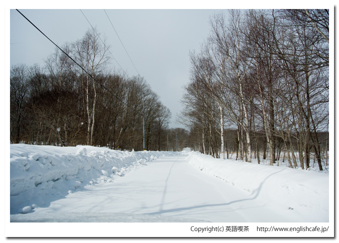 雪景色の円沼（北海道茅部郡森町大沼国定公園）
