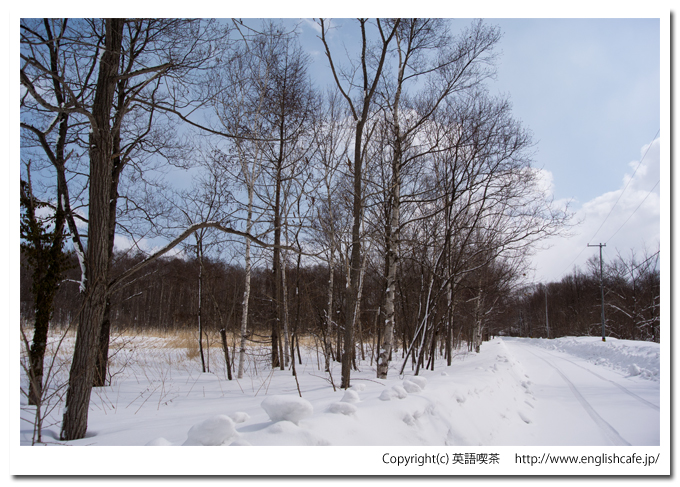 雪景色の円沼（北海道茅部郡森町大沼国定公園）