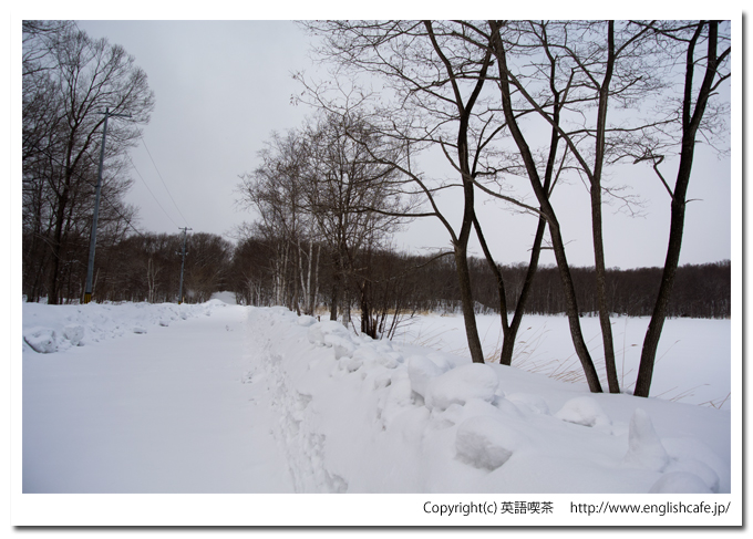 雪景色の円沼（北海道茅部郡森町大沼国定公園）