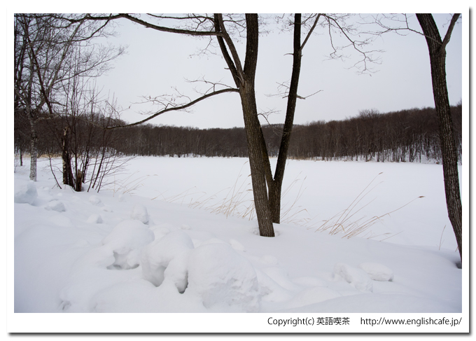 雪景色の円沼（北海道茅部郡森町大沼国定公園）