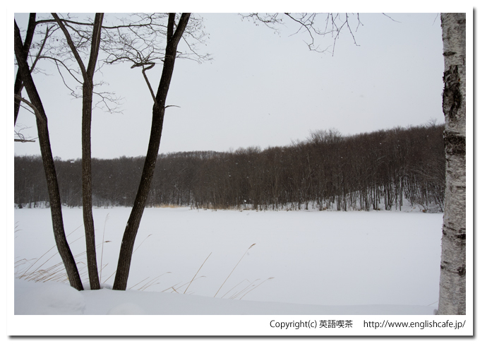 雪景色の円沼（北海道茅部郡森町大沼国定公園）
