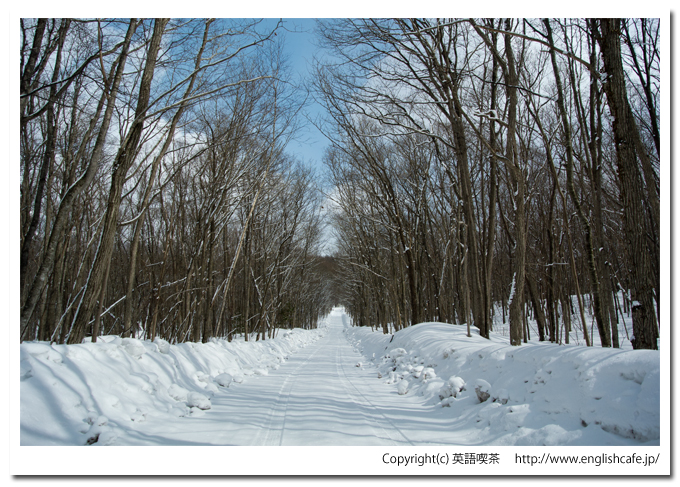 雪景色の円沼（北海道茅部郡森町大沼国定公園）