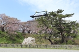 松前城（桜編）（北海道松前郡松前町）