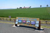 メルヘンの丘（北海道大空町）