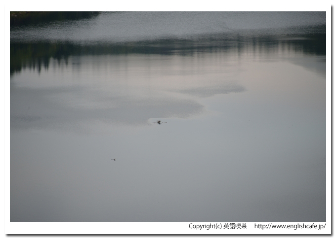 緑ダム、緑ダムのダム湖の水面の風景（北海道清里町）
