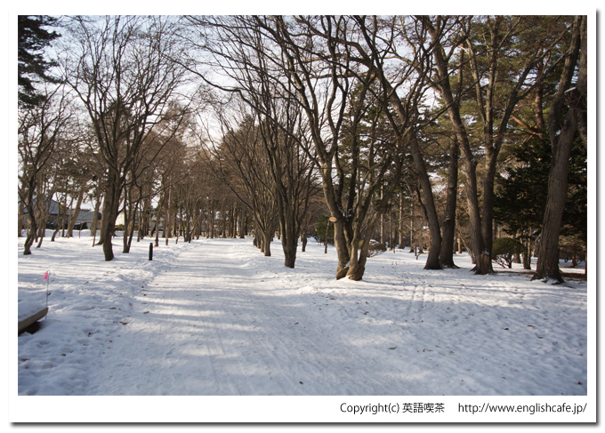 冬の見晴公園（北海道函館市）