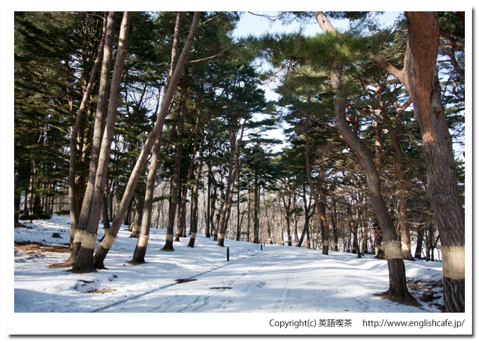 冬の見晴公園（北海道函館市）