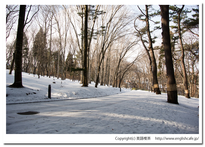 冬の見晴公園（北海道函館市）
