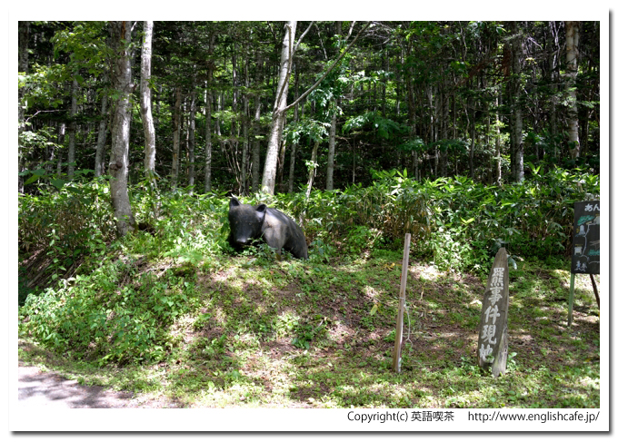 三毛別ヒグマ事件復元現地、熊事件現地の入口（北海道苫前郡苫前町）