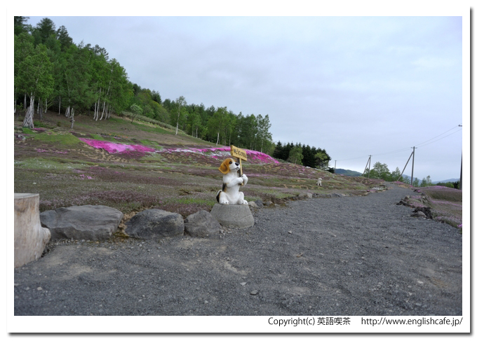 三島さんの芝桜庭園、庭園の入口から（北海道倶知安町）