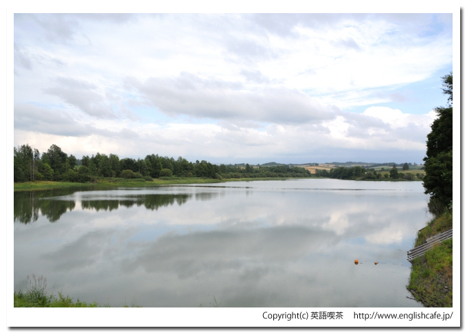 水沢ダム、ダム湖の様子（北海道上川郡美瑛町）