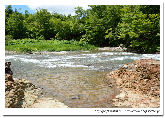 茂辺地自然体験の森（夏の再訪編）、見晴憩いの場の下流の先ほうから（北海道北斗市）