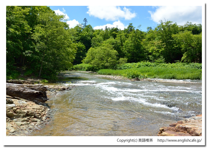茂辺地自然体験の森（夏の再訪編）、見晴憩いの場の下流の先ほうから別角度から（北海道北斗市）