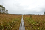 モケウニ沼（北海道猿払村）