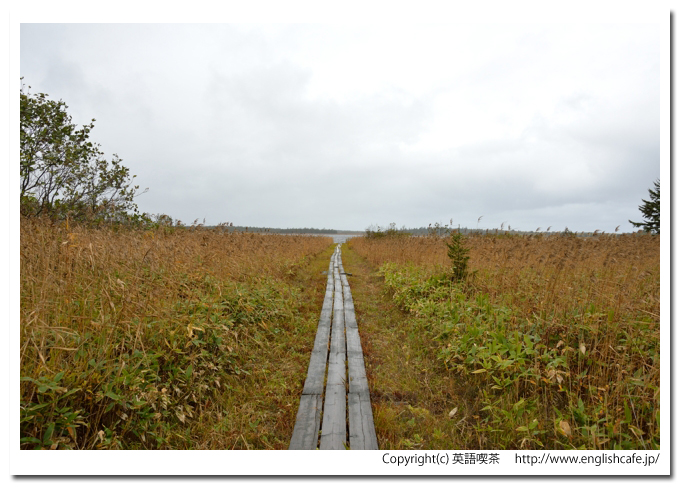 モケウニ沼、モケウニ沼の木道と湿地帯（北海道猿払村）
