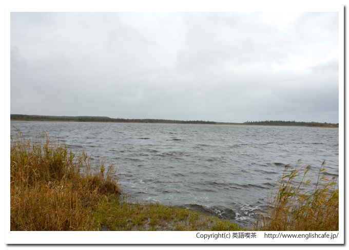 モケウニ沼、モケウニ沼の湖面の景色（北海道猿払村）