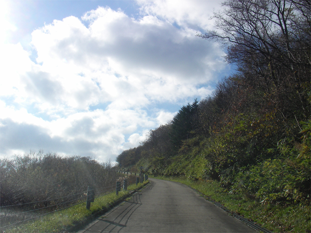 茂津多岬灯台への林道（北海道島牧郡島牧村）