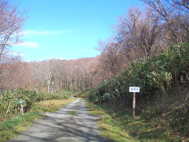茂津多岬灯台への林道、島牧村へ（北海道島牧郡島牧村）