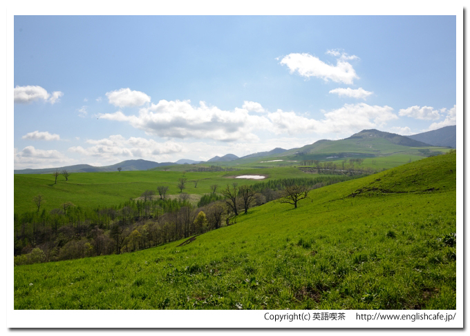 ナイタイ高原牧場、中腹付近の景色から（北海道上士幌町）