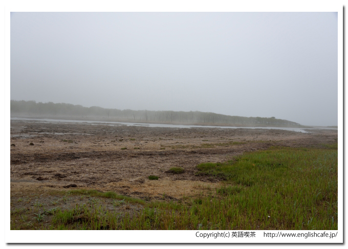 ナラワラ（野付半島）、ナラワラを見渡す展望台から（北海道野付郡別海町）